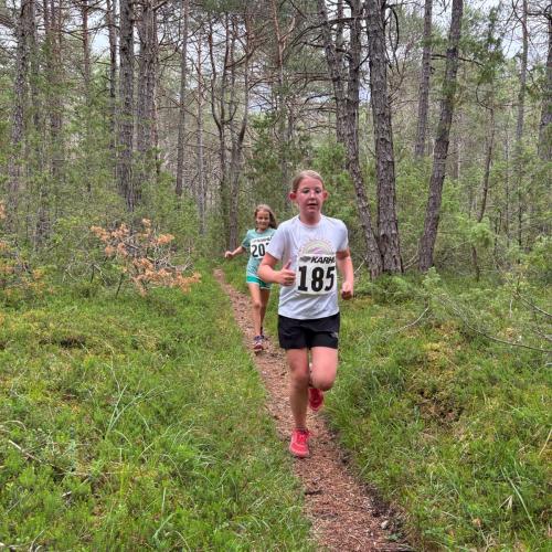 26_06 Crosslauf 7