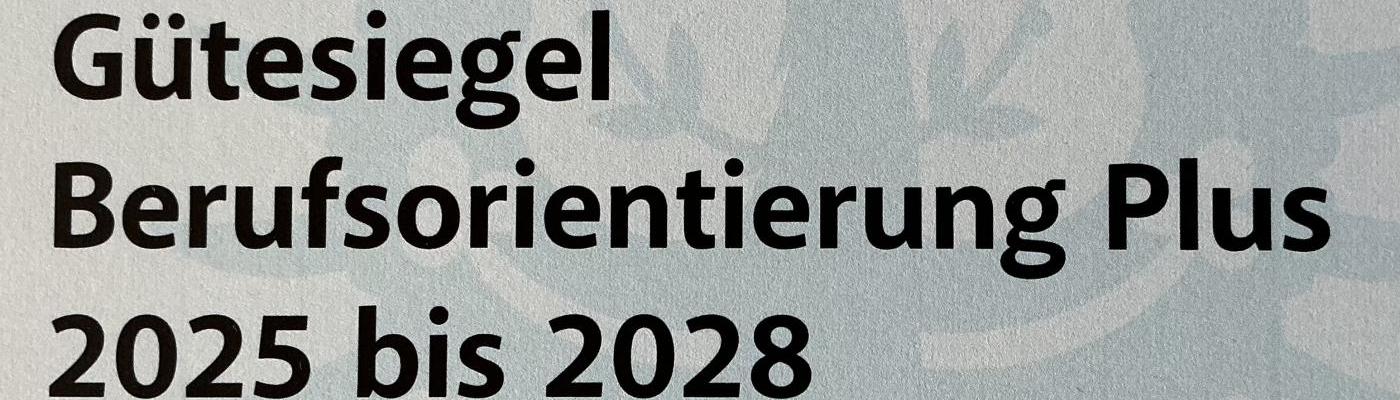 Berufsorientierung Gütesiegel